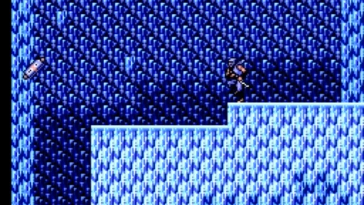 Ninja Gaiden Image