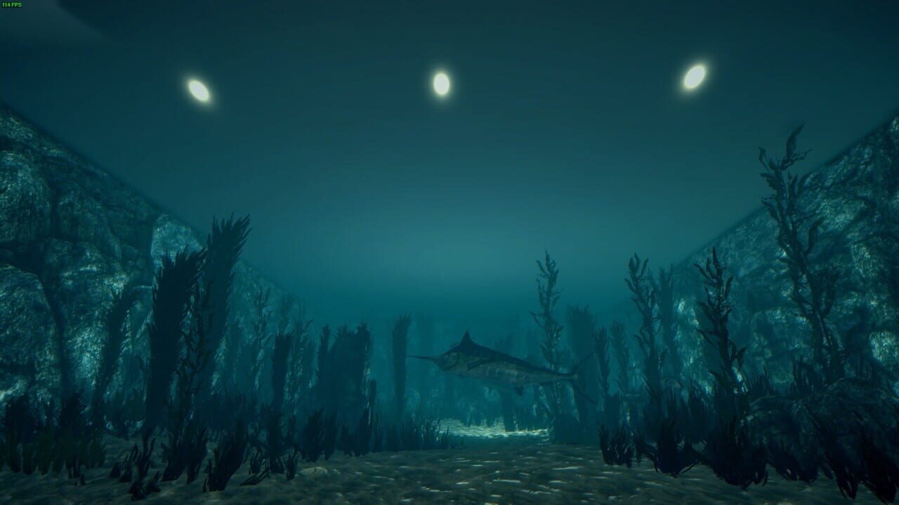 Ultimate Fishing Simulator: Aquariums DLC — Screenshot 2