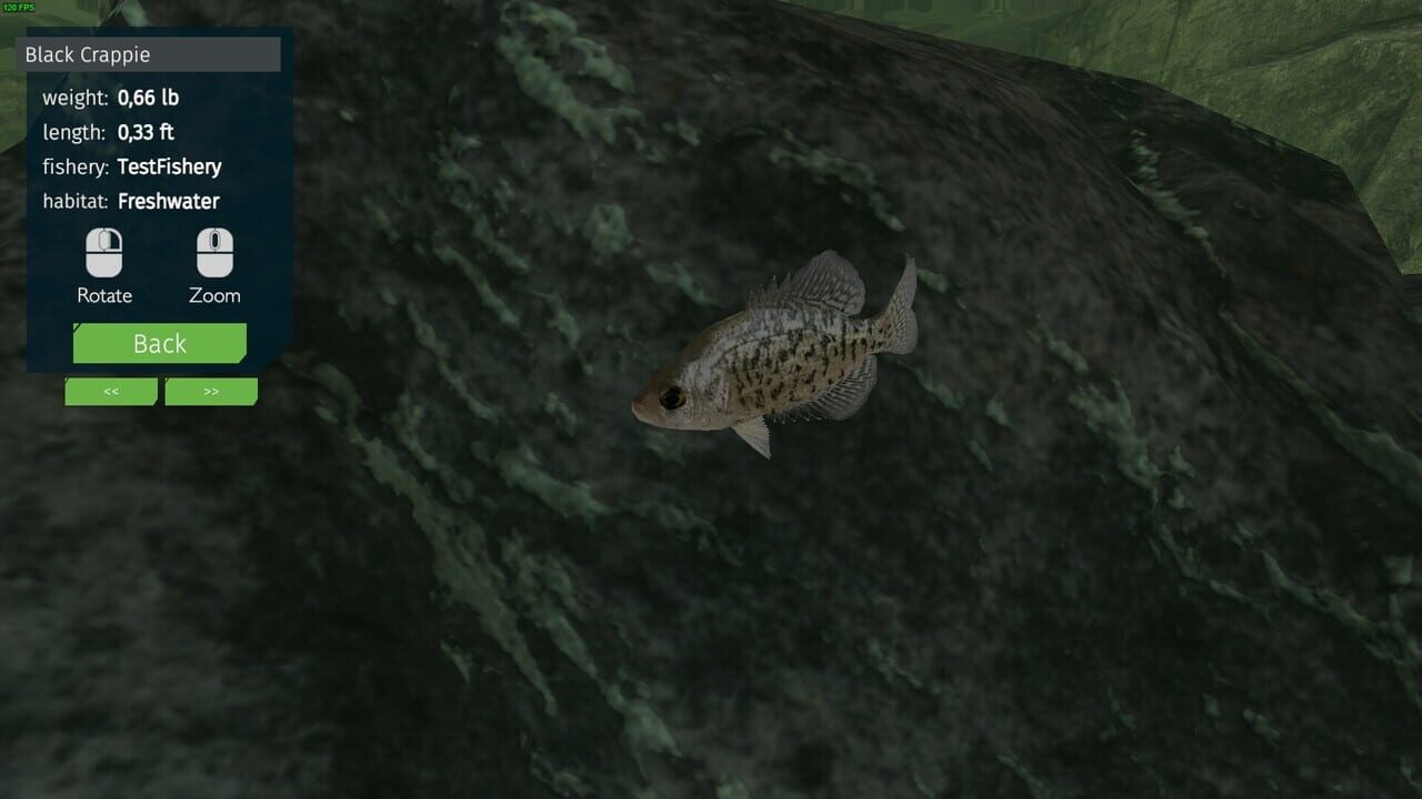 Ultimate Fishing Simulator: Aquariums DLC Image