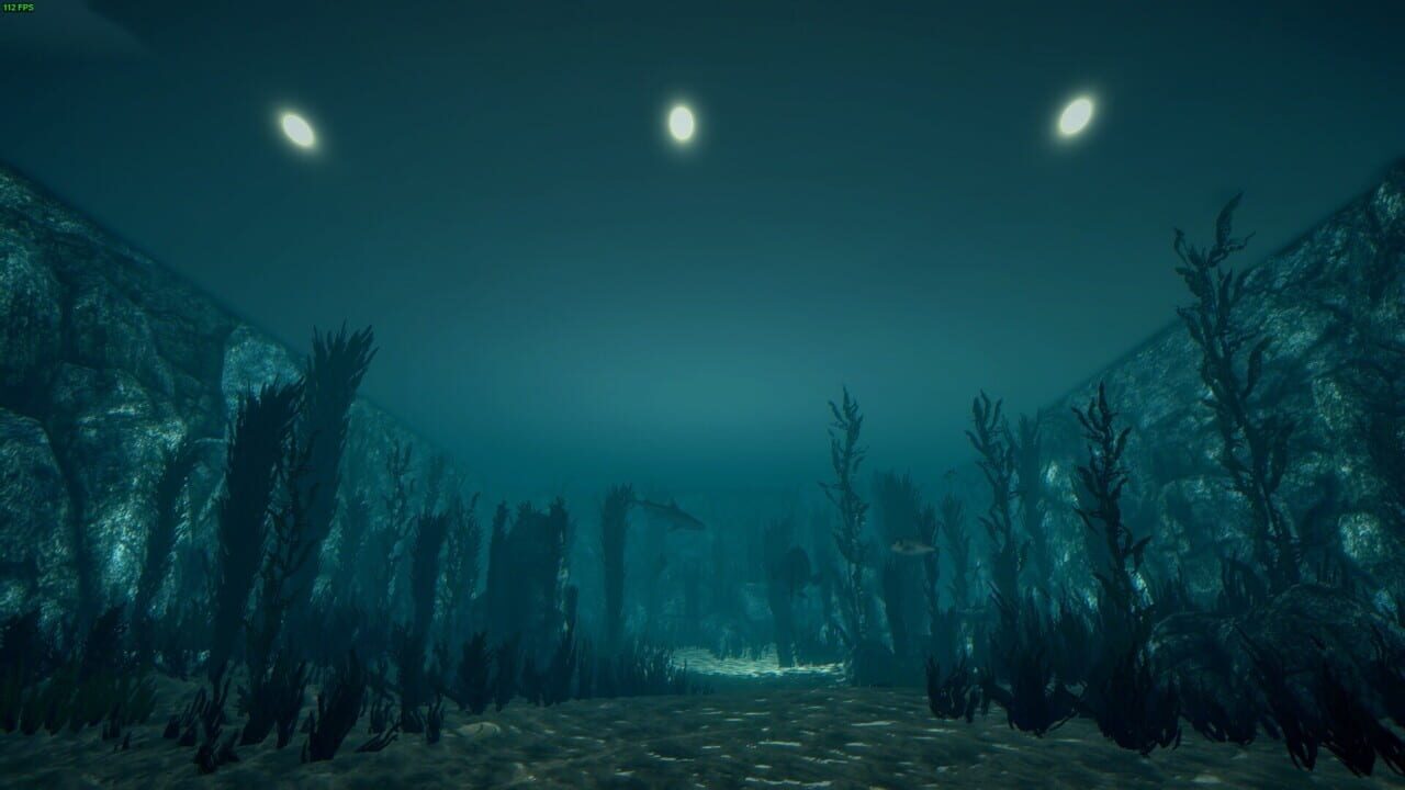 Ultimate Fishing Simulator: Aquariums DLC Image