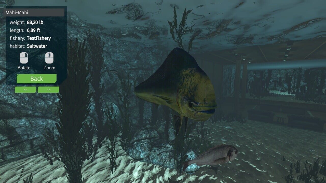 Ultimate Fishing Simulator: Aquariums DLC — Screenshot 5
