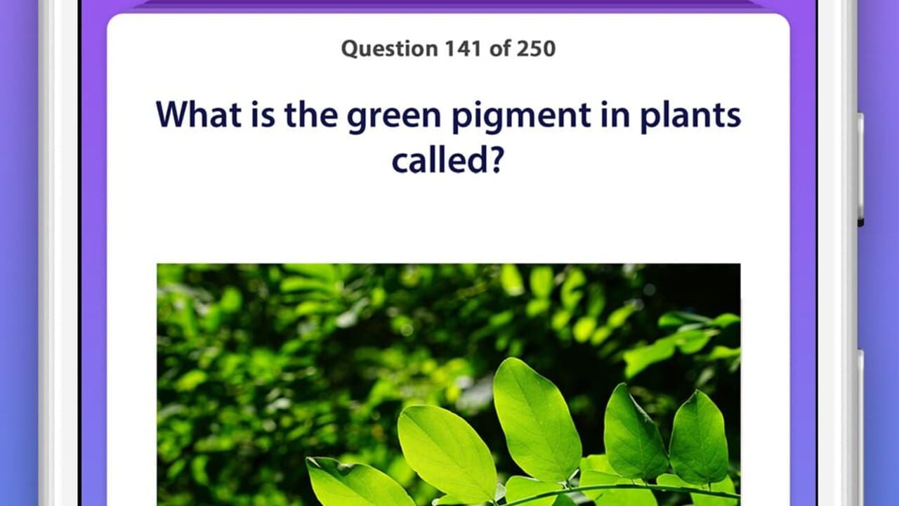 General Knowledge Quiz Image