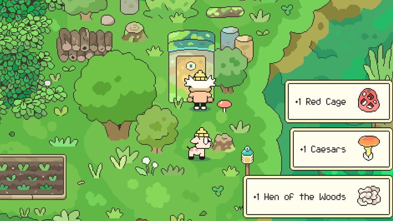 Hermit and Pig