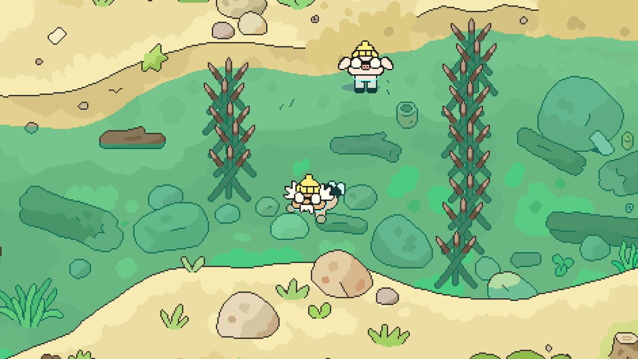Hermit and Pig