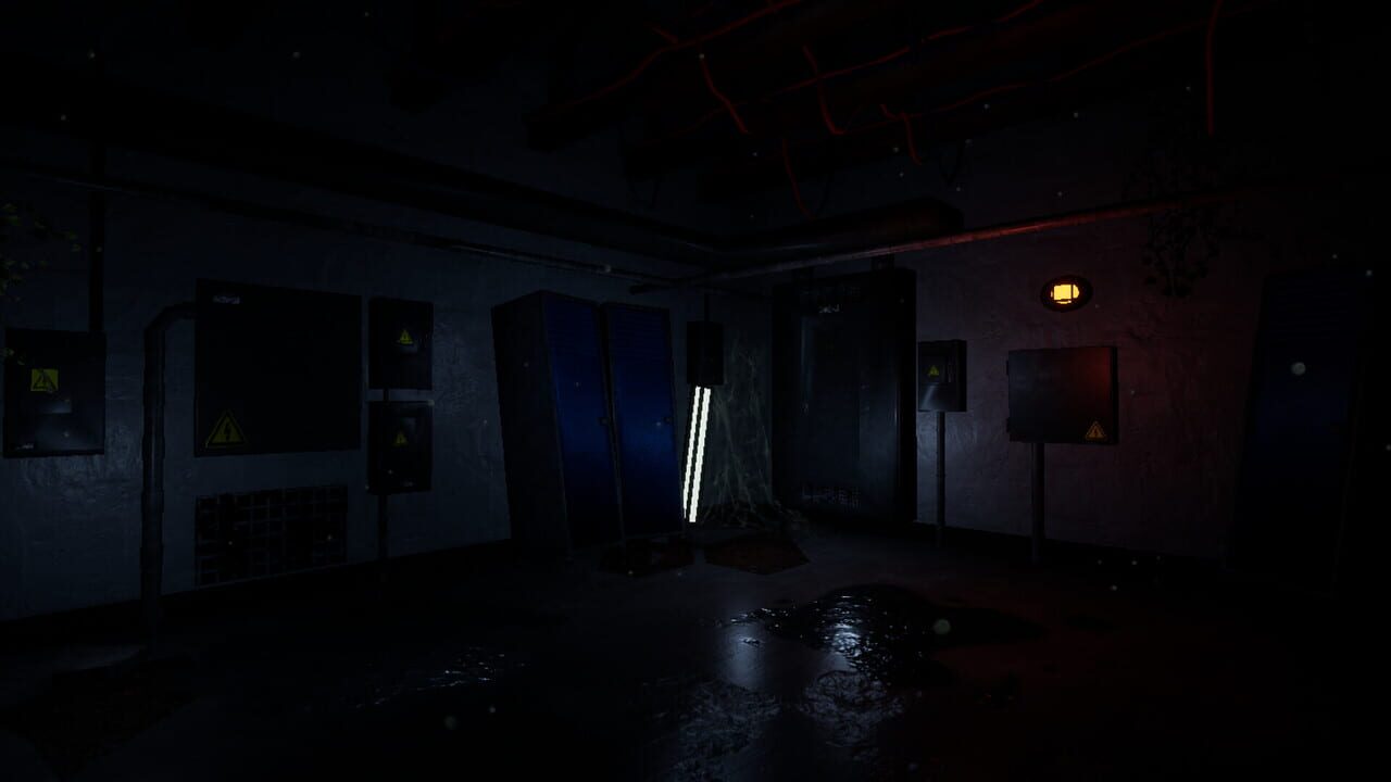 Small Nights Image