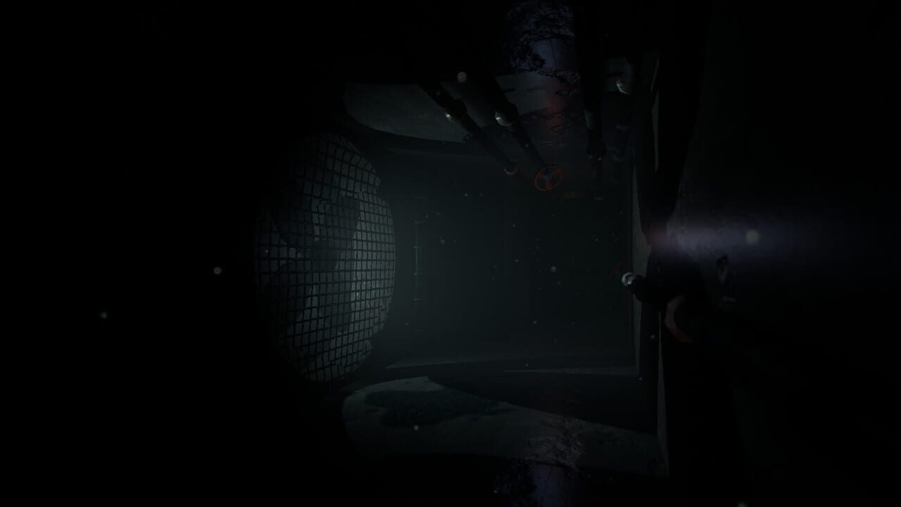 Small Nights Image