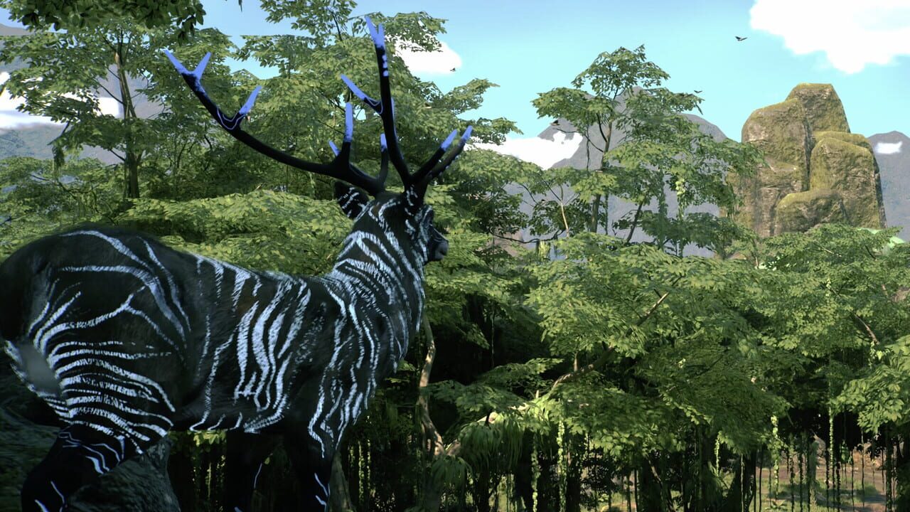 Project Hoyrá Image