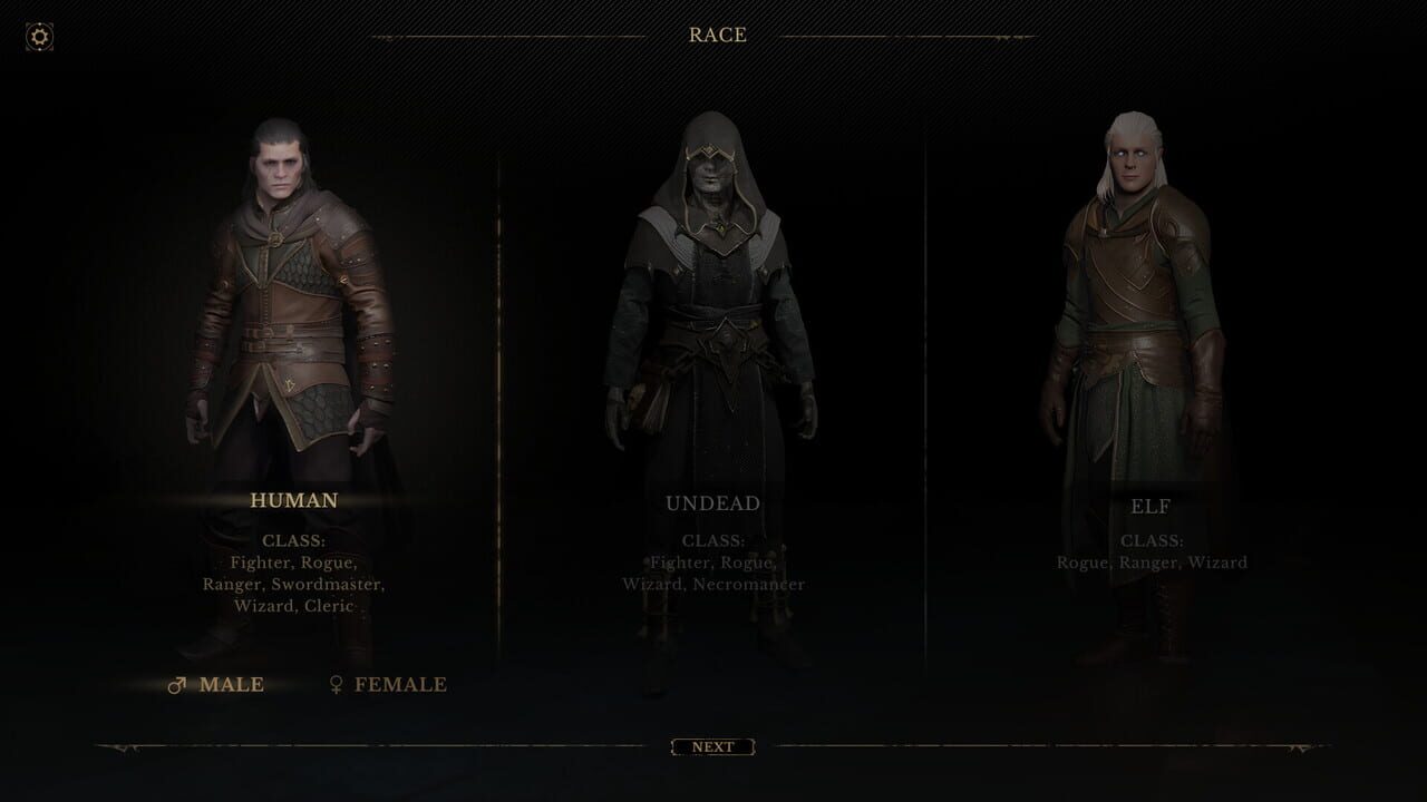 Dungeonborne Image