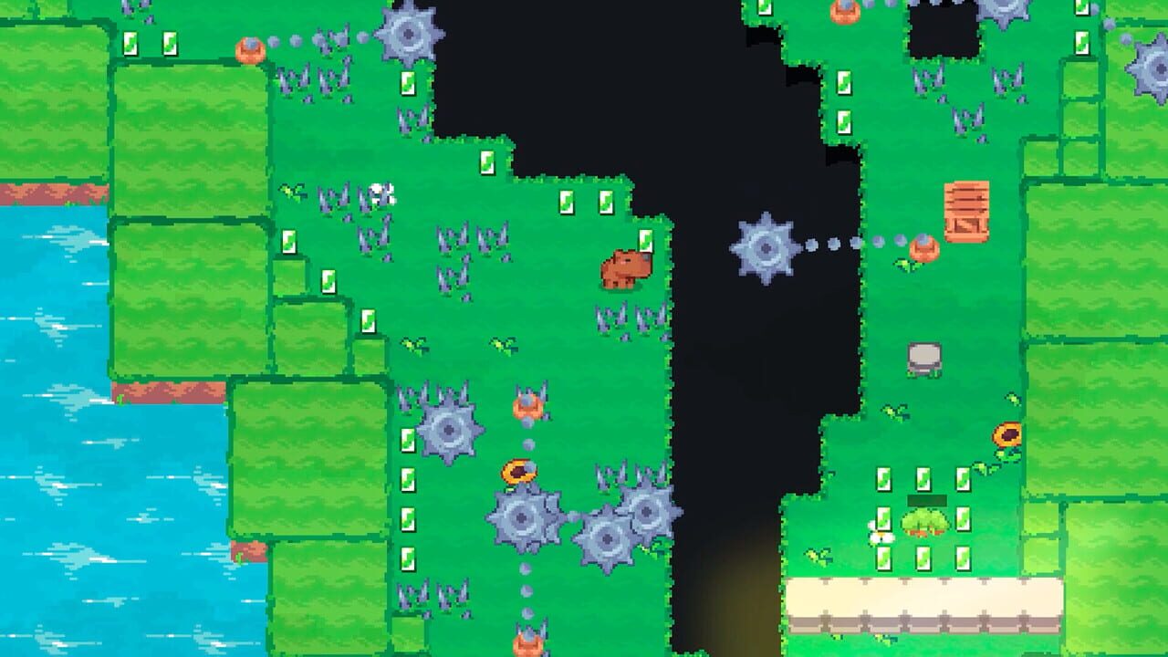 Chef Capybara — Screenshot 2