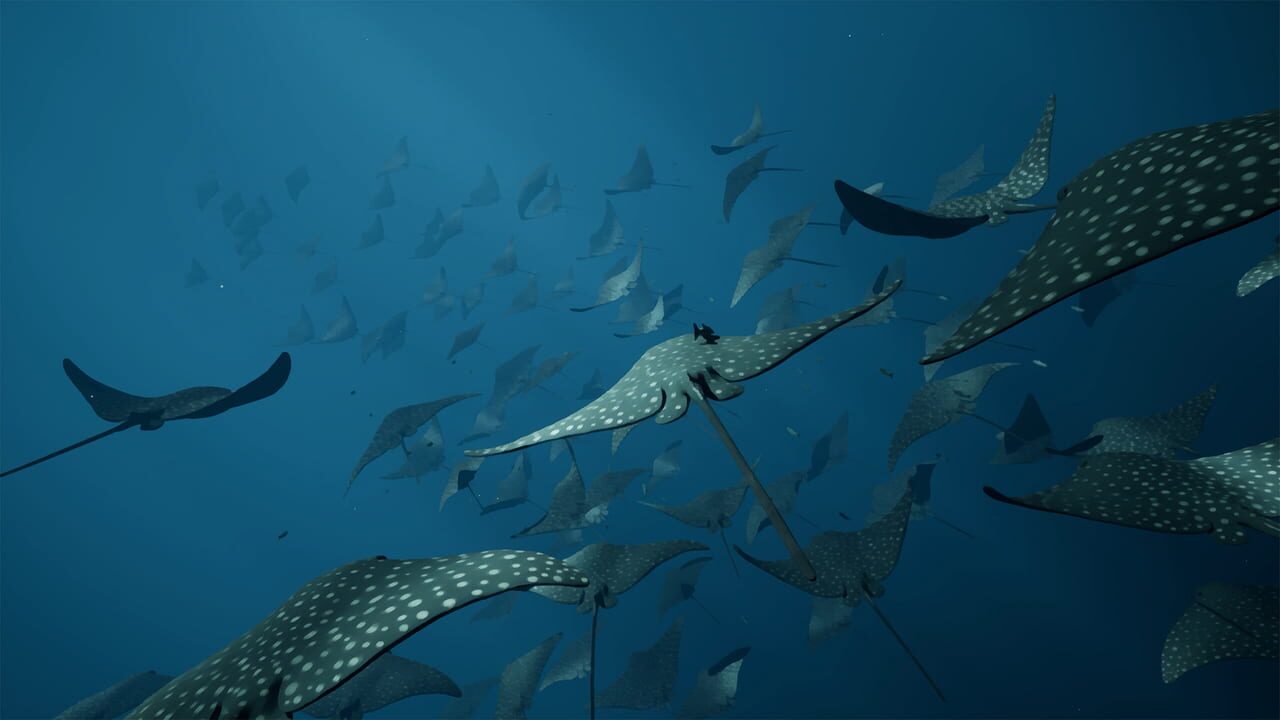 Whale Fall — Screenshot 3