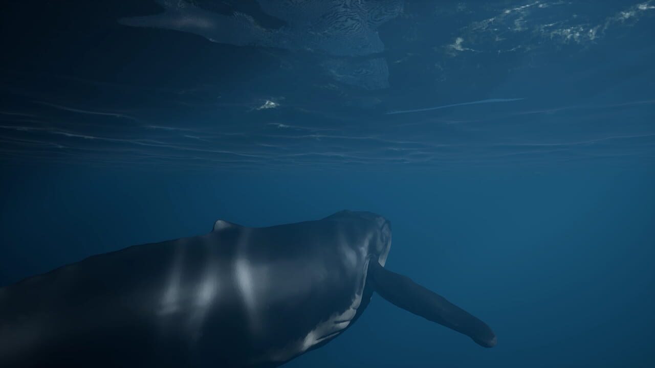 Whale Fall — Screenshot 5