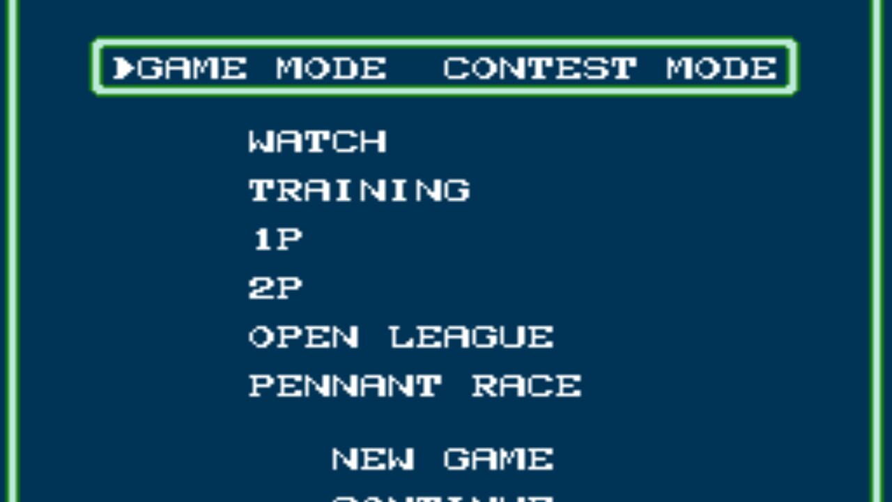 Baseball Fighter Image