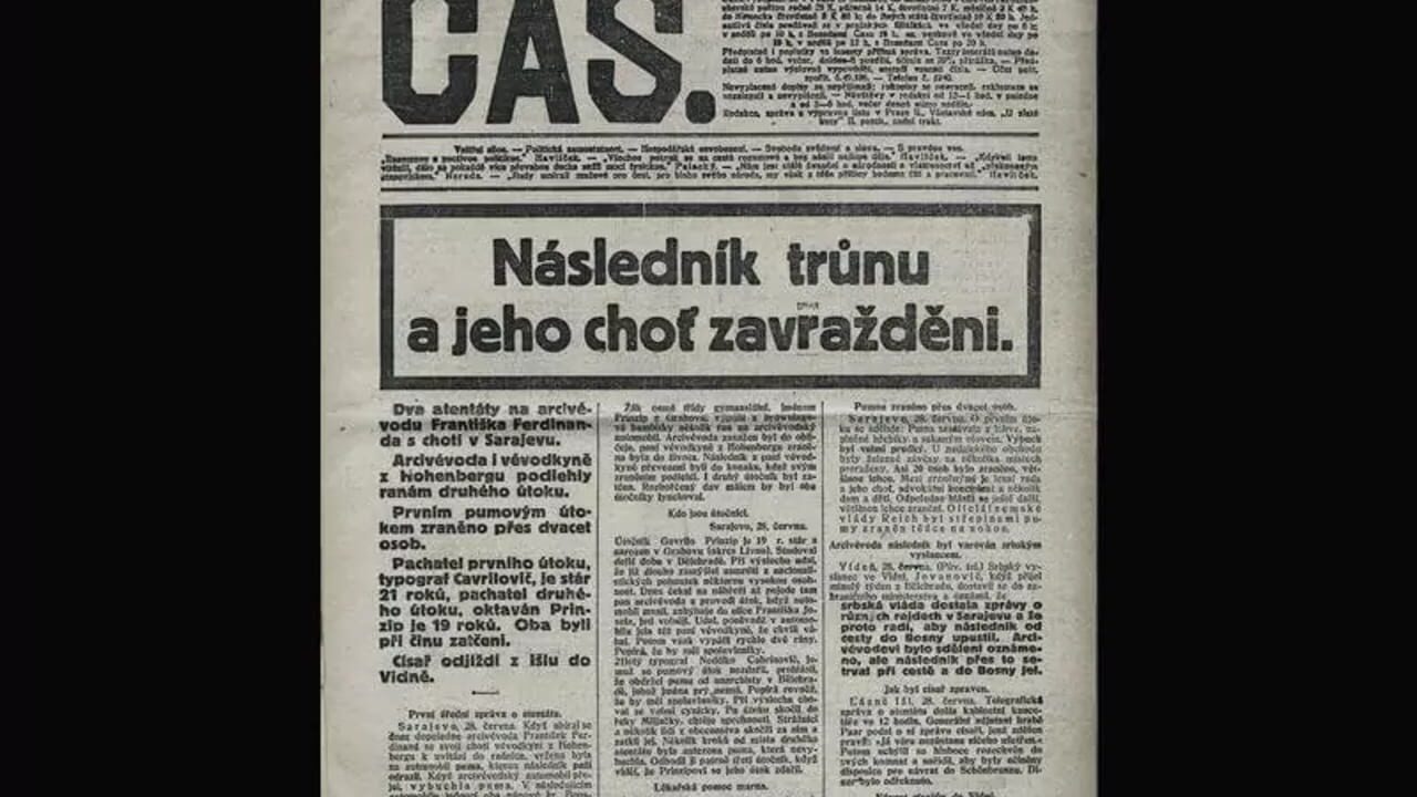 Pokhozhdeniya bravogo soldata Shveyka — Screenshot 3