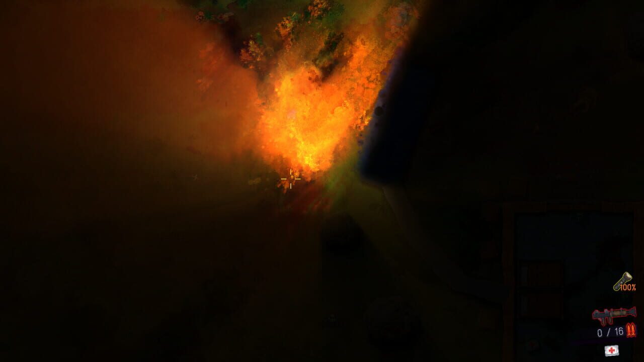 Screenshot 13