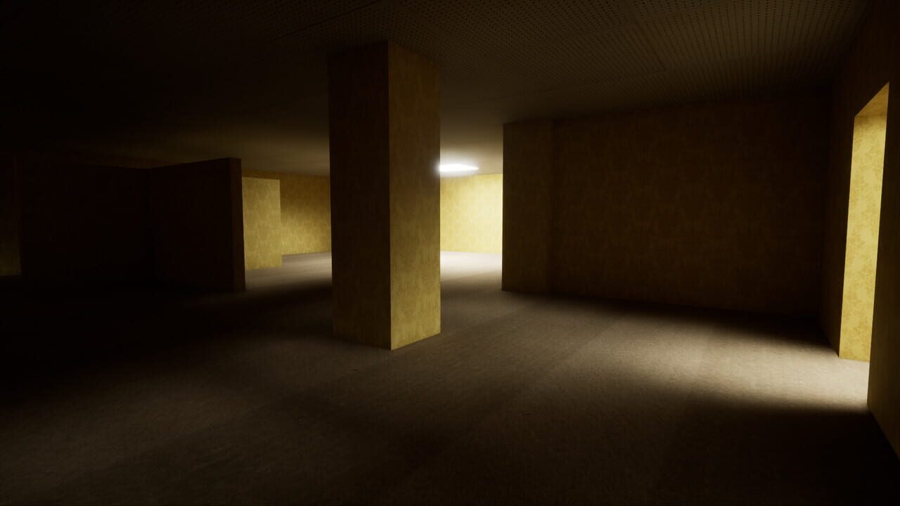 Explore the Backrooms — Screenshot 1