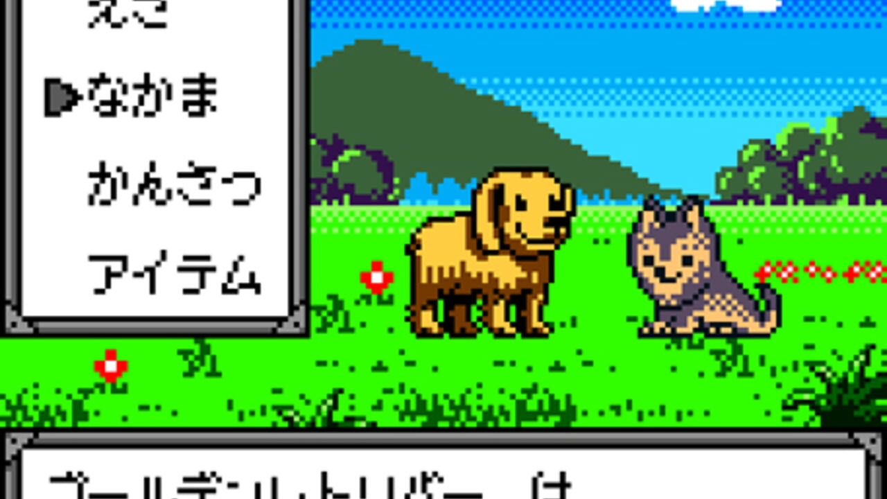 Screenshot 10