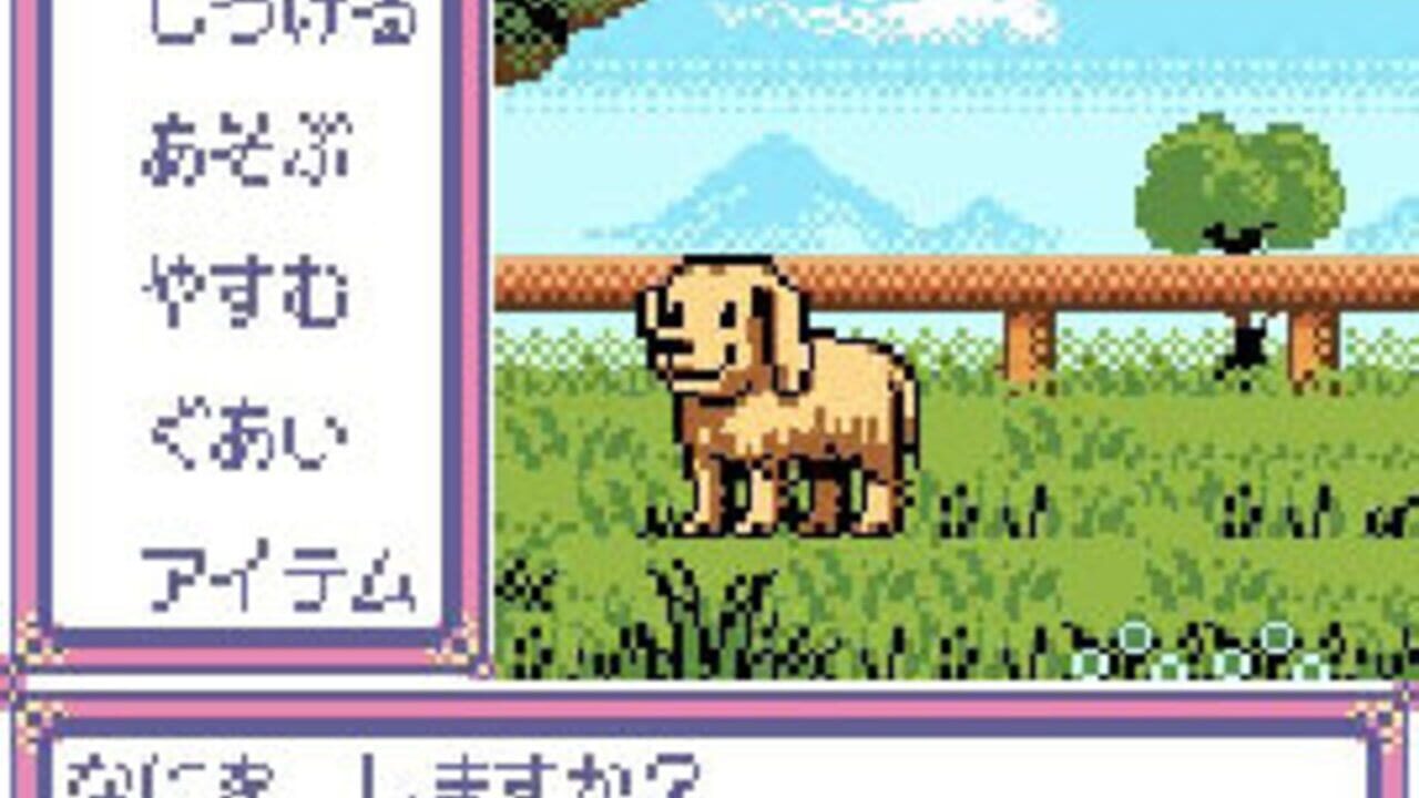 Kawaii Pet Shop Monogatari 2 — Screenshot 3