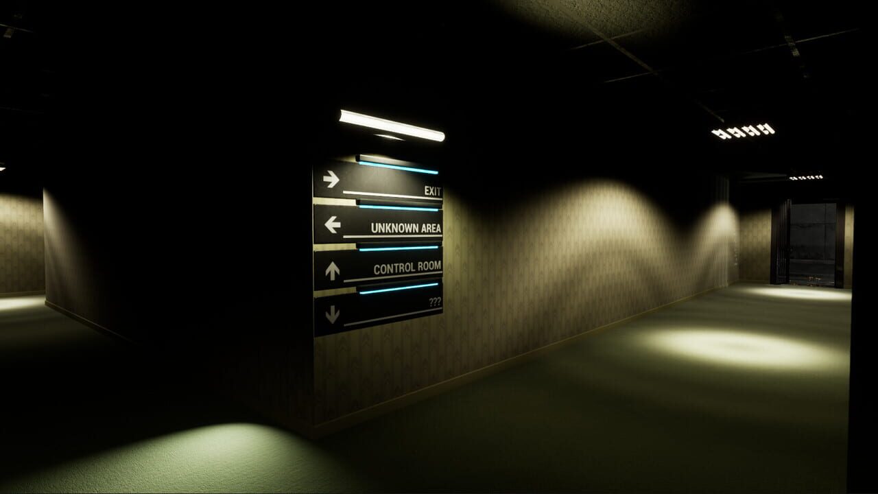 The Backrooms Project — Screenshot 1