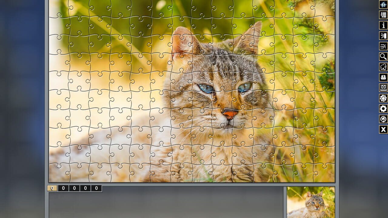 Pixel Puzzles Traditional Jigsaws Pack: Variety Pack 10 Image