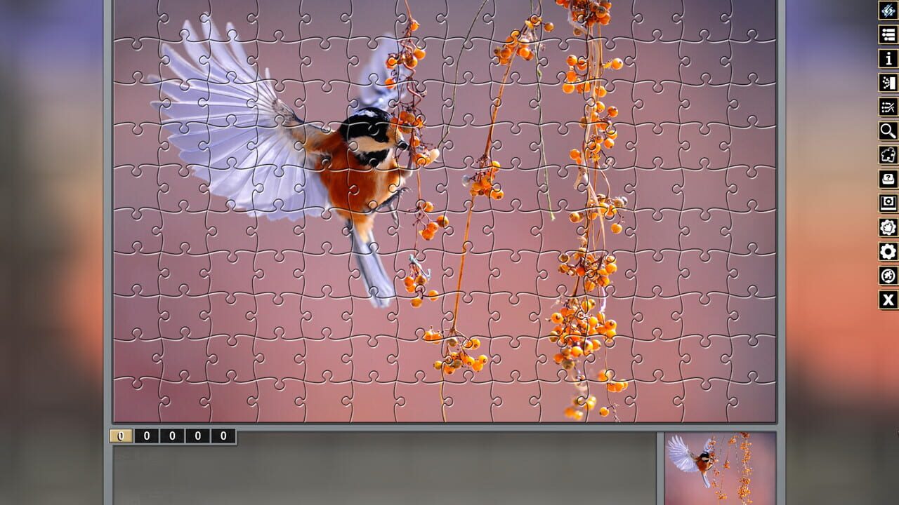 Pixel Puzzles Traditional Jigsaws Pack: Variety Pack 10 Image