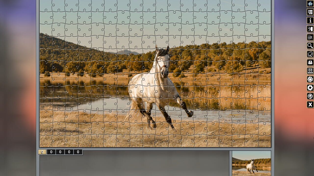 Pixel Puzzles Traditional Jigsaws Pack: Variety Pack 10 Image