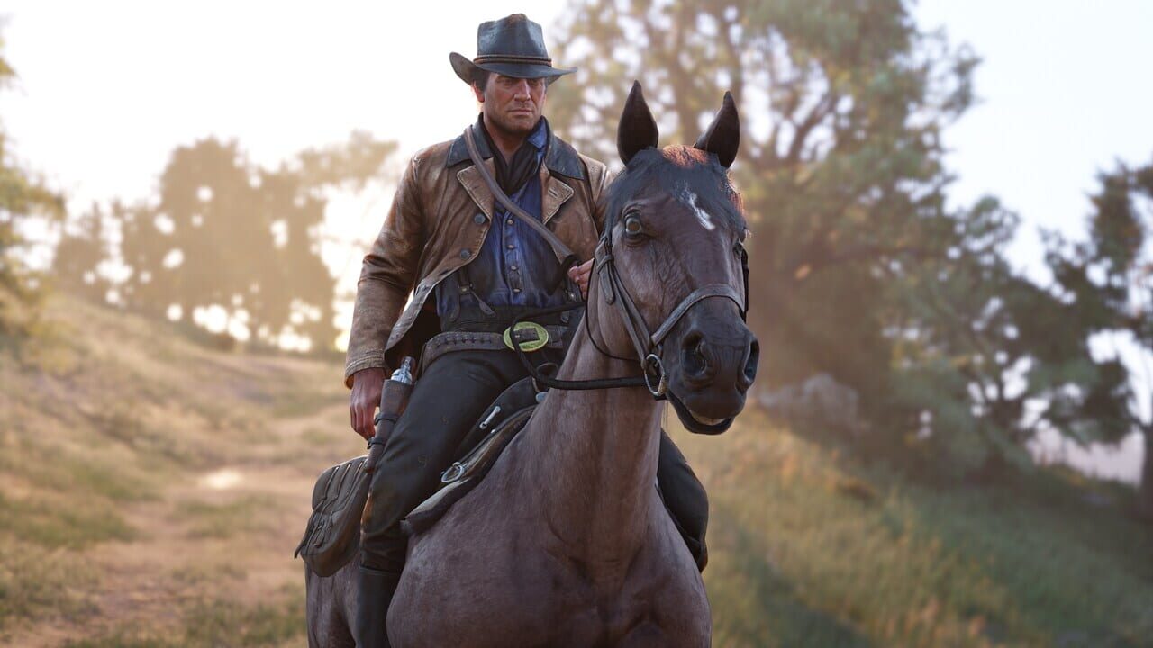 Red Dead Redemption & Red Dead Redemption 2 Bundle Image