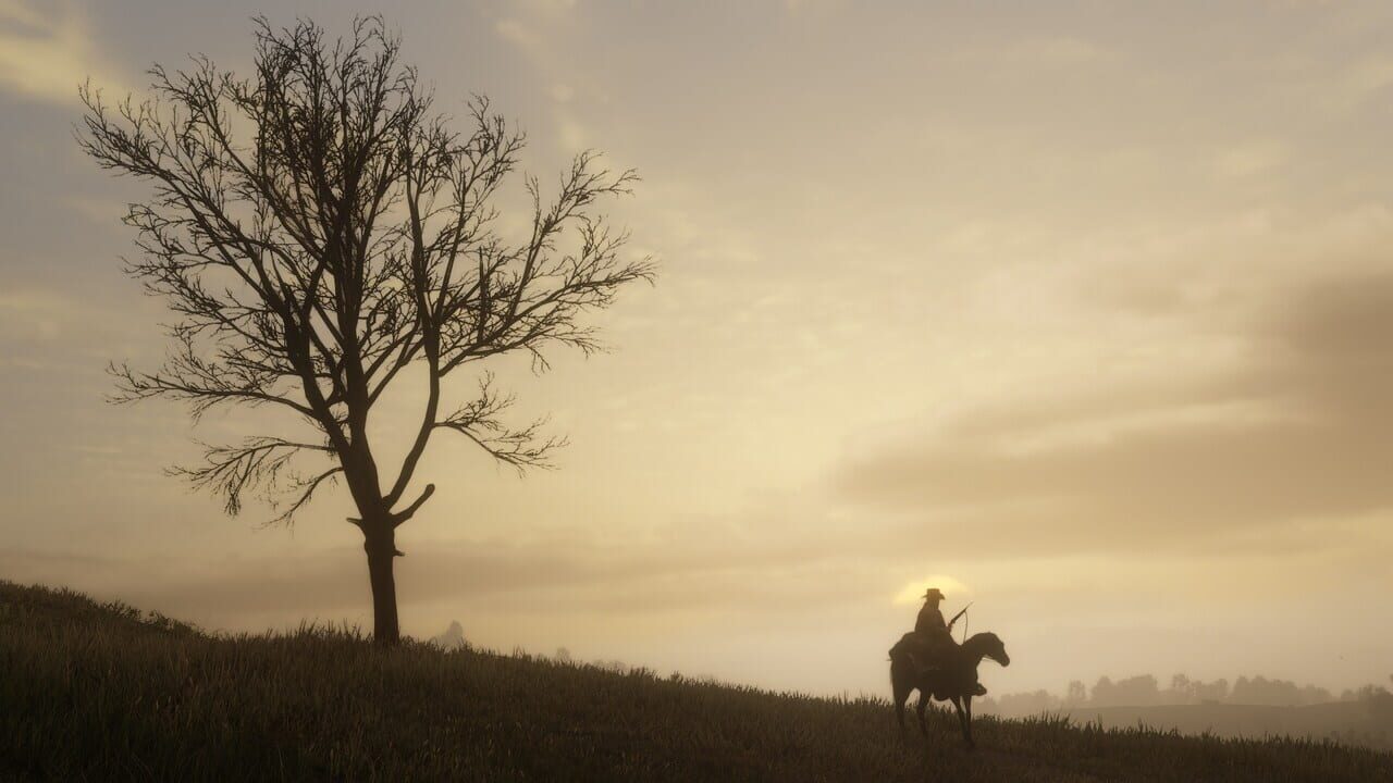 Red Dead Redemption & Red Dead Redemption 2 Bundle Image