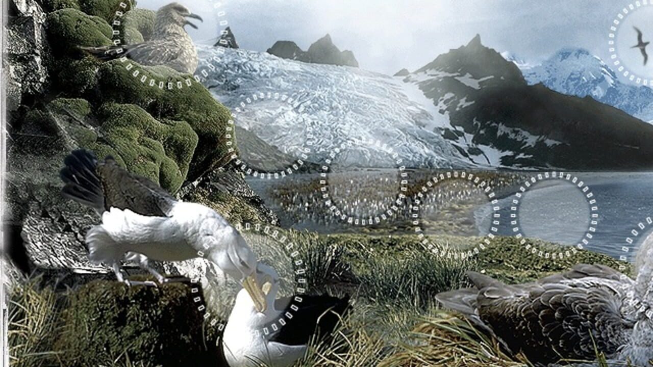 Attenborough's Antarctic: An Exploration of Life in the Freezer — Screenshot 2