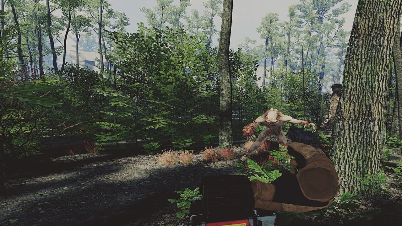 Z.O.N.A: Origin Image