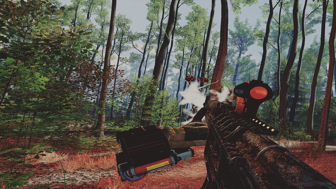 Z.O.N.A: Origin Image