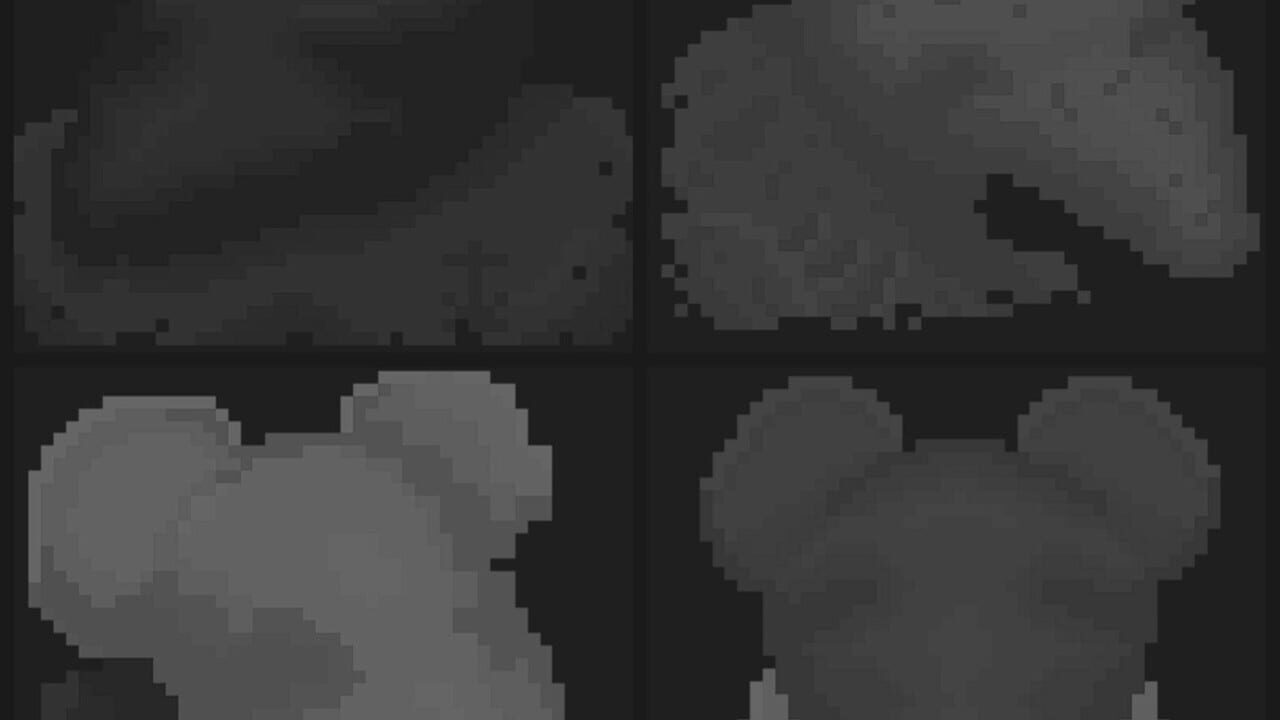 Crowd Image