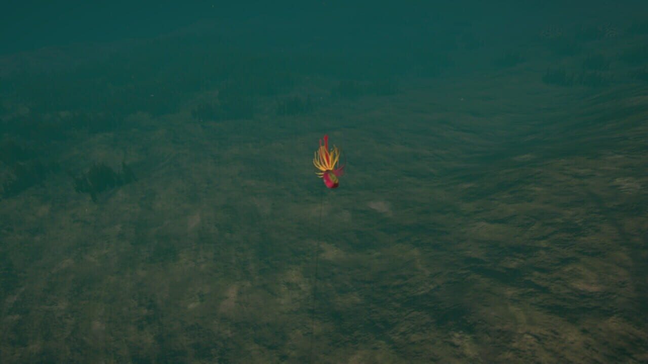 Ultimate Fishing Simulator: Florida — Screenshot 3