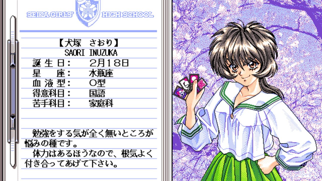 Screenshot 13