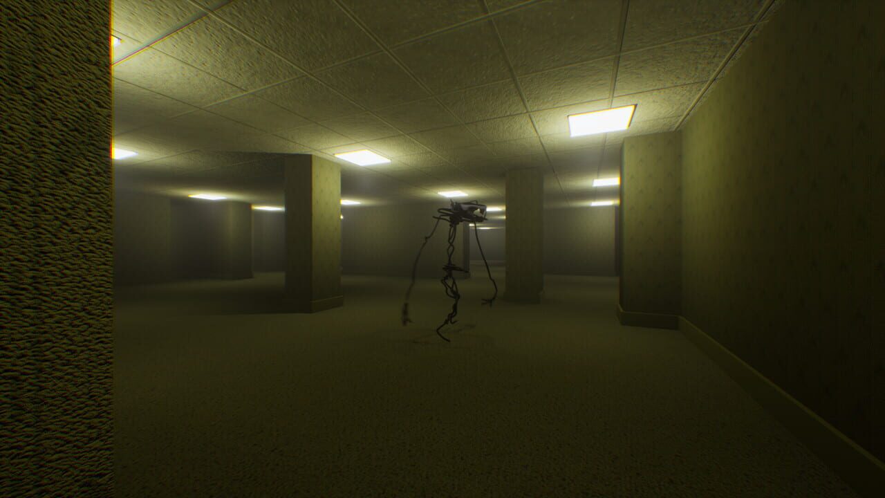 The Backrooms Recorded — Screenshot 1