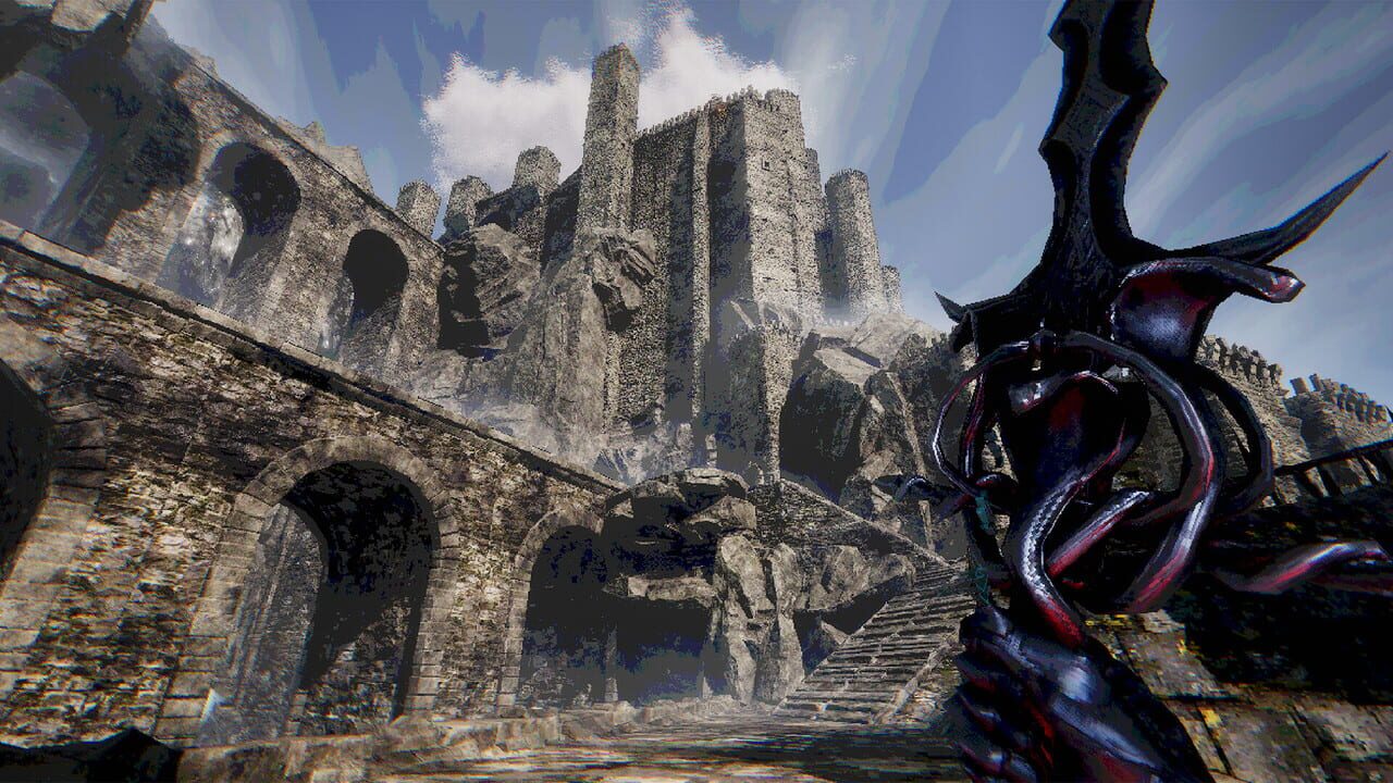 Voin Image