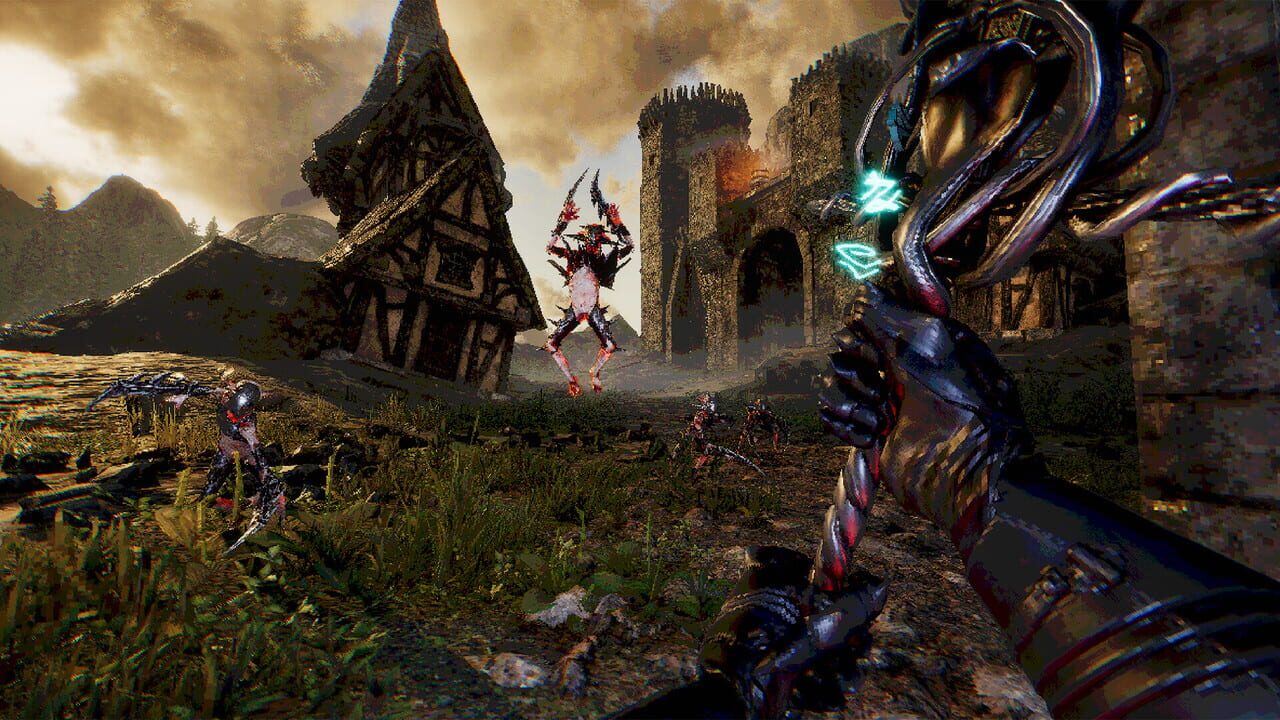 Voin Image