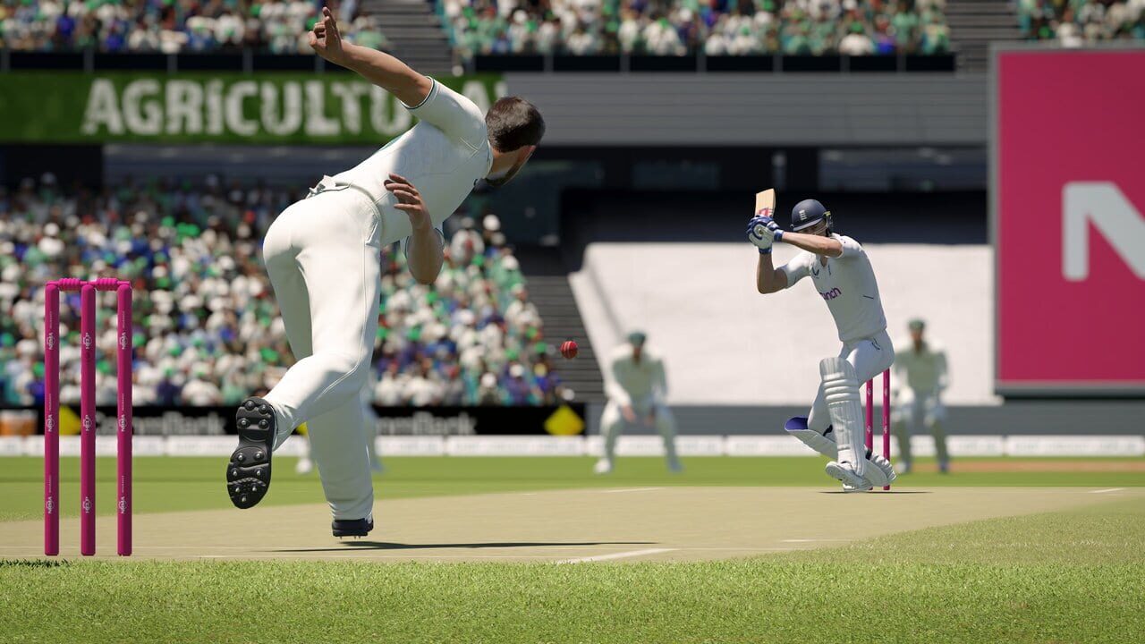 Cricket 24 Image