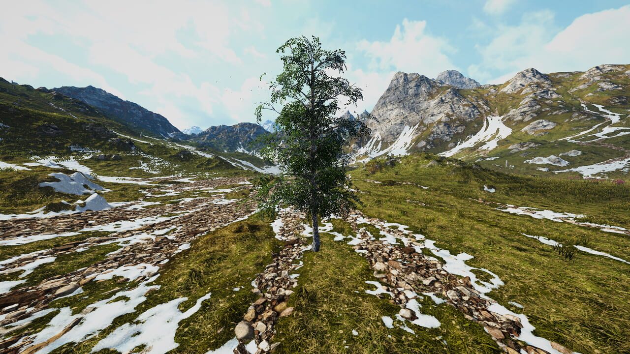 Birch Simulator Image