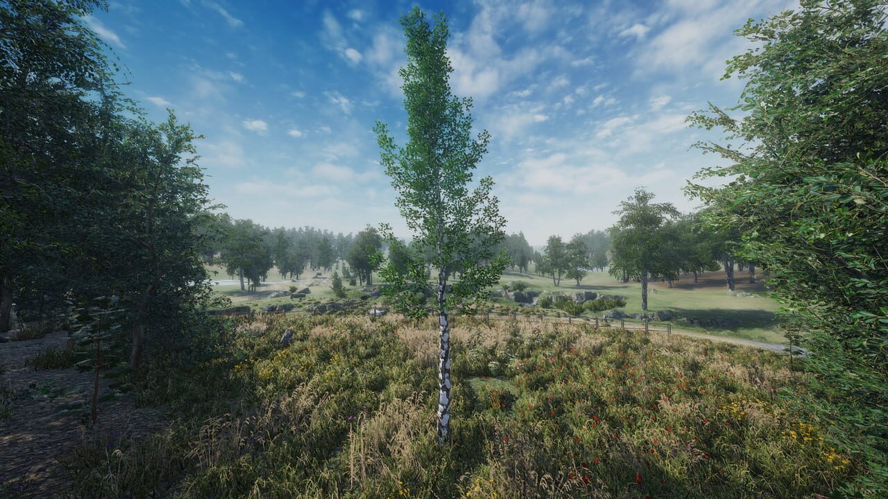 Birch Simulator Image
