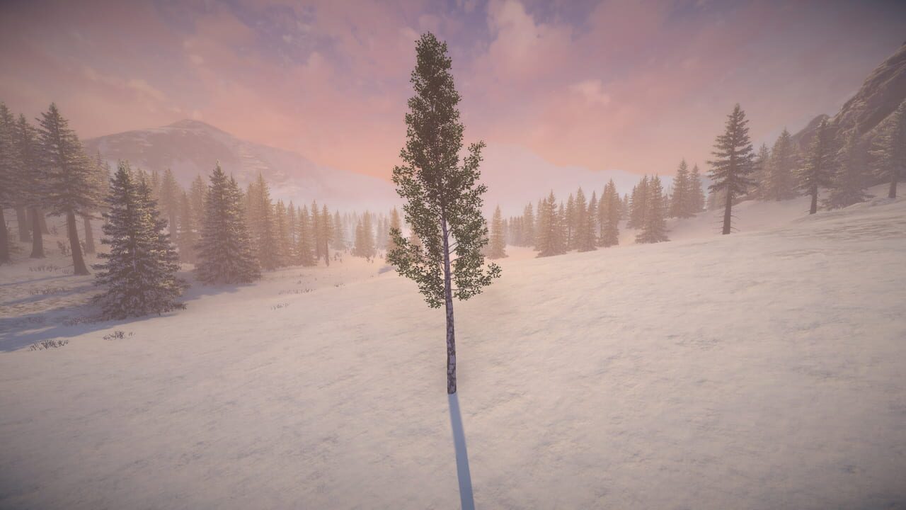Birch Simulator Image