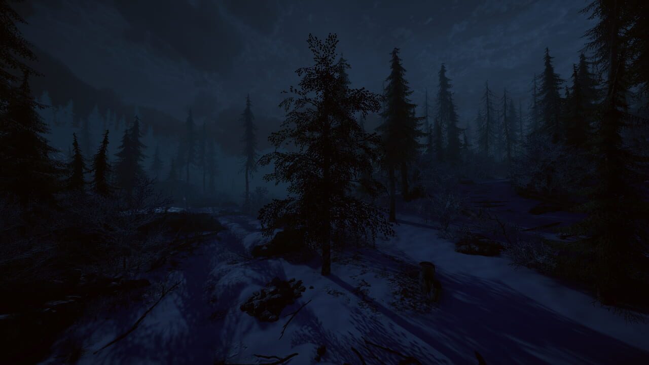 Birch Simulator Image