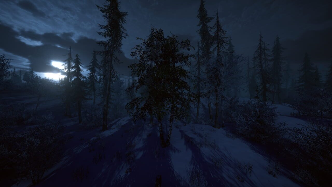 Birch Simulator Image