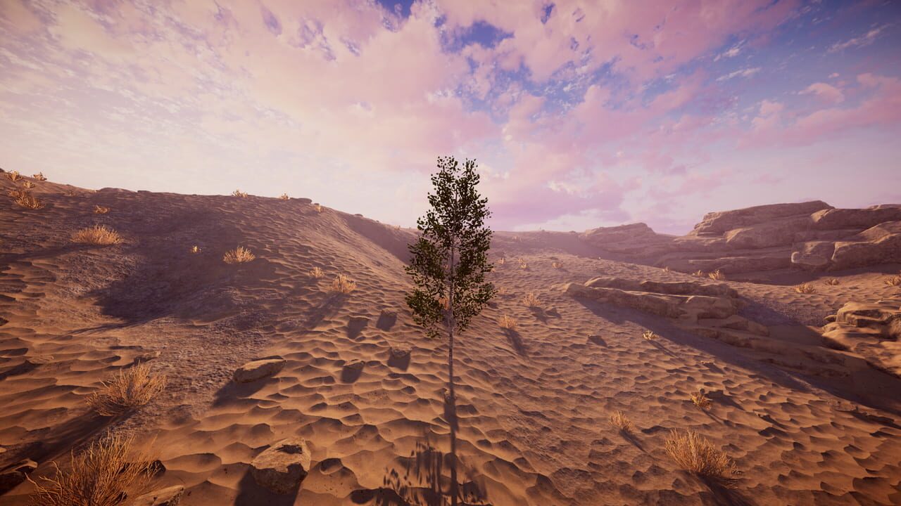 Birch Simulator Image