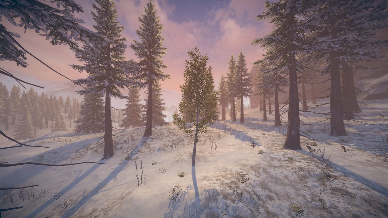 Birch Simulator Image