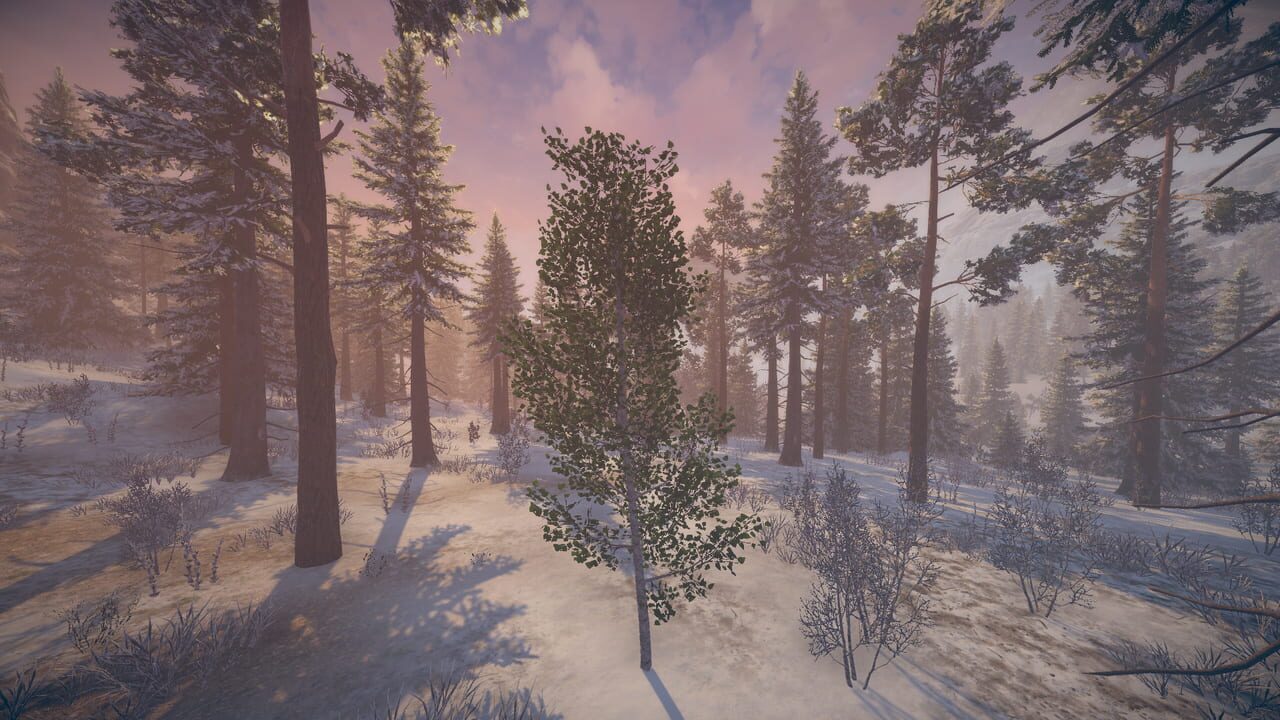 Birch Simulator Image