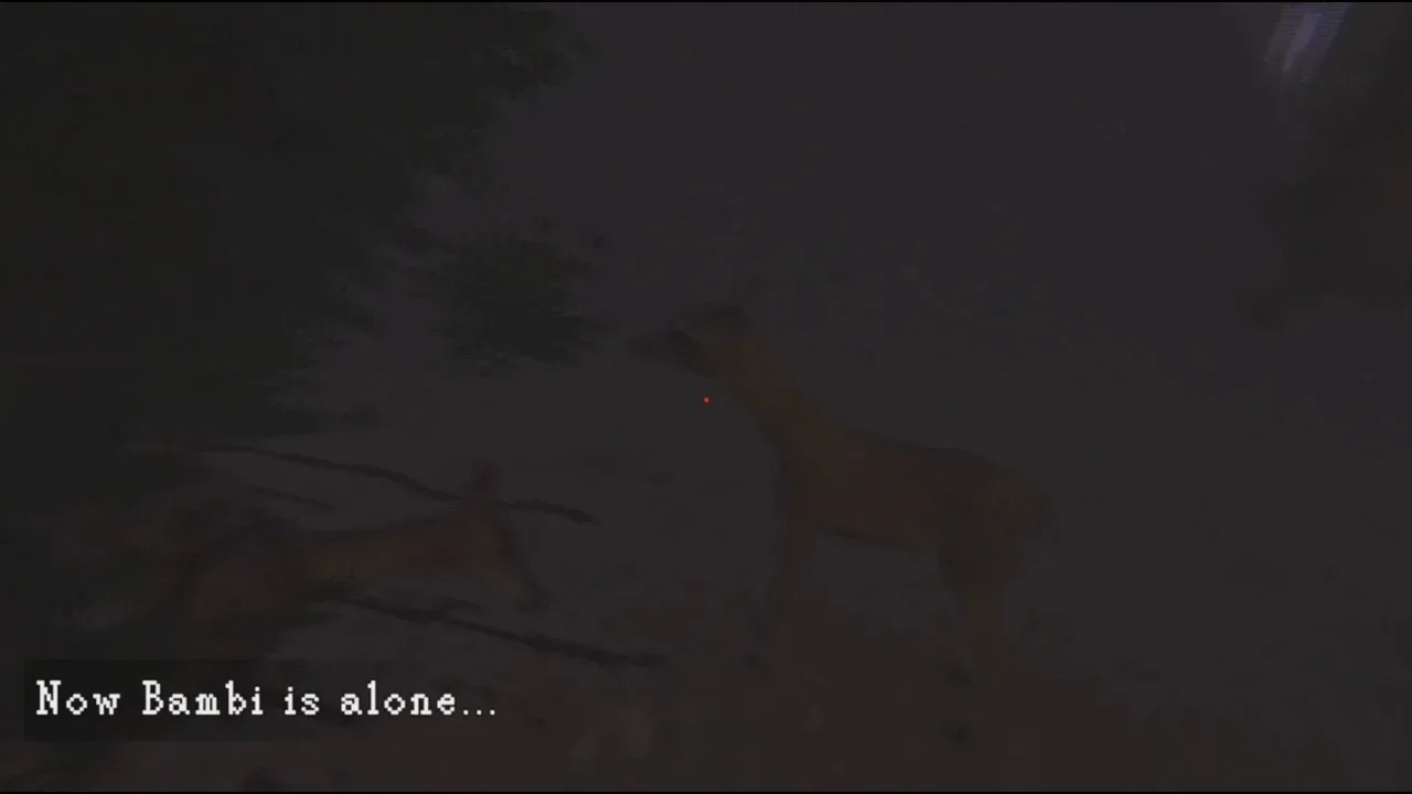 Mortisomem screenshot 9