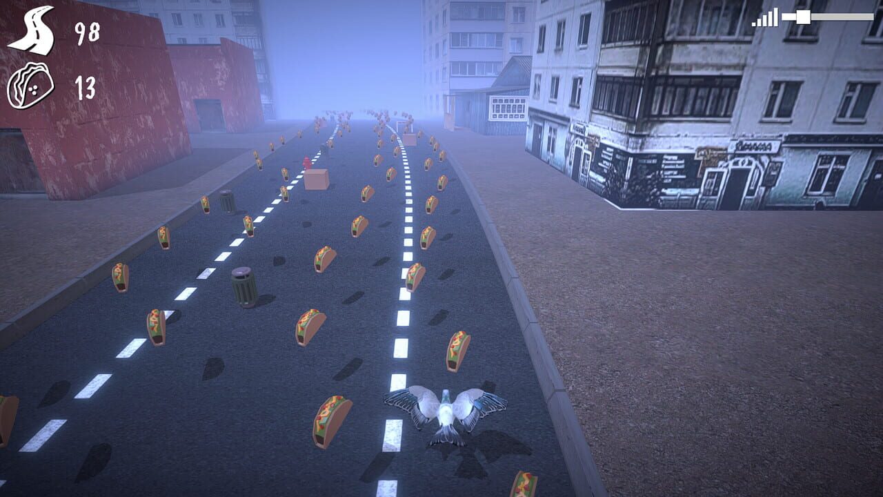 Pigeon in Hurry Image