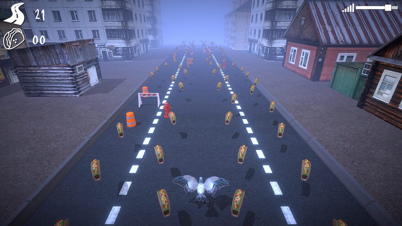 Pigeon in Hurry Image