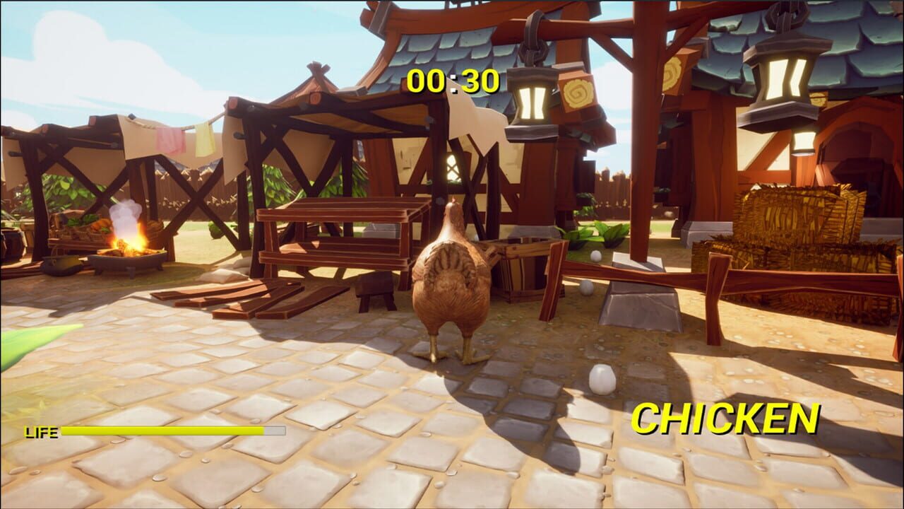 Screenshot 13
