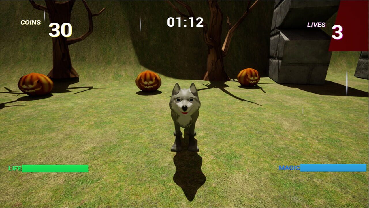 Screenshot 19